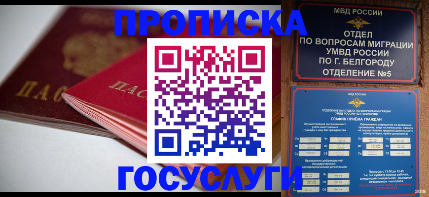временная регистрация собственник в Славгороде